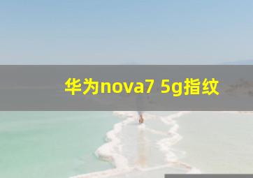 华为nova7 5g指纹